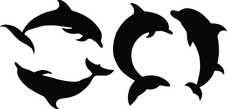 Silhouette of dolphins vector illustration