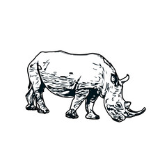 black and white sketch of a rhinoceros with transparent background