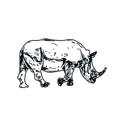 black and white sketch of a rhinoceros with transparent background