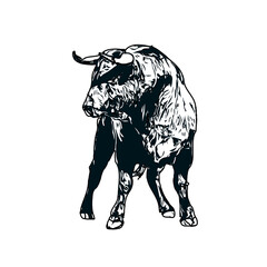 black and white sketch of a bull with transparent background