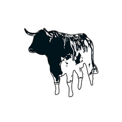 black and white sketch of a bull with transparent background