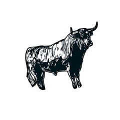 black and white sketch of a bull with transparent background