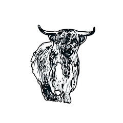 black and white sketch of a bull with transparent background