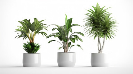 Potted plants isolated on a white background, Generative AI