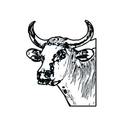 black and white sketch of a bull with transparent background