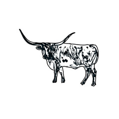 black and white sketch of a bull with transparent background