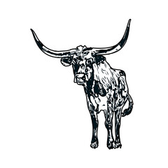 black and white sketch of a bull with transparent background