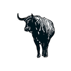 black and white sketch of a bull with transparent background