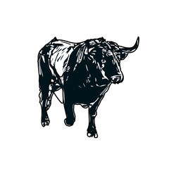black and white sketch of a bull with transparent background