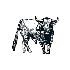 black and white sketch of a bull with transparent background