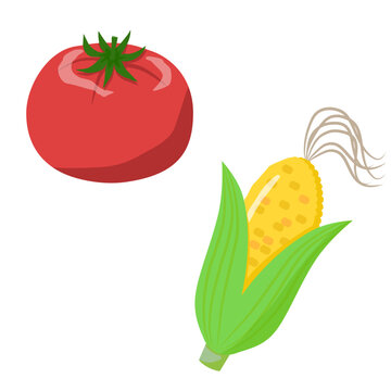 夏野菜
