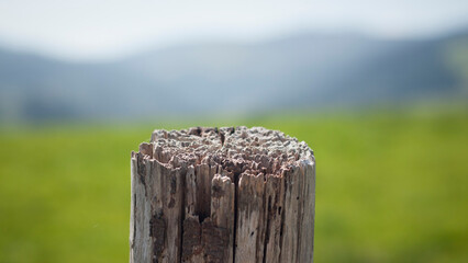 Textura de madera en piquete de valla rústica en finca rural