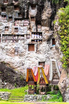 views of lemo graveyard in tana toraja land, indonesia