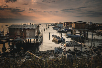 Sacca degli Scardovari Po river