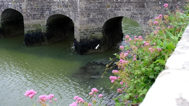Bridge of saint-goustan. Brittany France, Morbihan. Auray country. Flower in the river. 