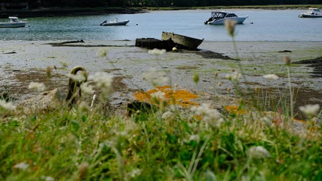 boat on the river. River of Auray, bretagne, morbihan
