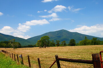 Fototapeta na wymiar Sharp Top Mountain Virginia