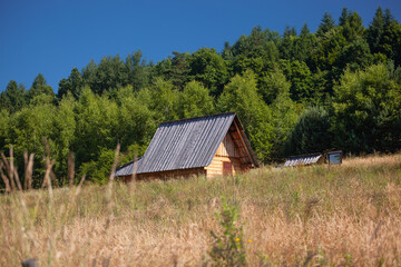 Fototapeta premium Bacówka w Jordanowie. Chata na tle drzew i bezchmurnego, błękitnego nieba. 
