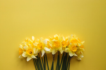 Bouquet of daffodils on color background, top view with space for text. Fresh spring flowers