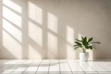 Empty room beige brown cement with texture, soft beautiful dappled sunlight, pot plants and shadow on white wall