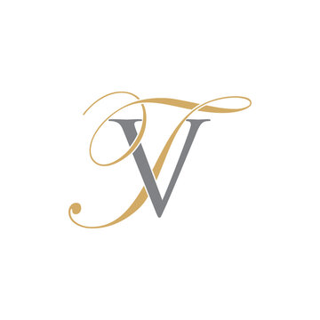 VT or TV Letters Logo Icon 010
