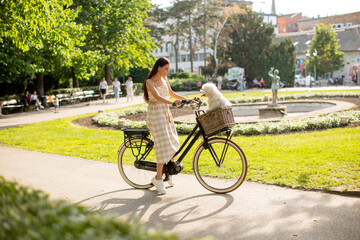 Young woman with white bichon frise dog in the basket of electric bike - obrazy, fototapety, plakaty