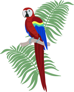 A brightly colored macaw with tropical leaves on its branch. Summer illustration in flat style