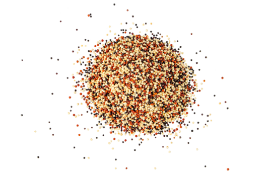 Quinoa grain pile top view isolated transparent png. Raw mixed tricolor seeds. Gluten-free cereal.