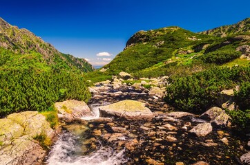 Summer mountain landscape in polish Tatra Mountains. Picturesque view stretches over stream and rocky summits in the Five Pond Valley in Tatra mountains, Poland.
