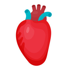 Heart human cardiology organ. Vector illustration in flat cartoon style for design and decoration of medical themes.