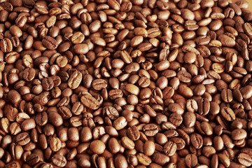 black coffee beans for background. coffee seed