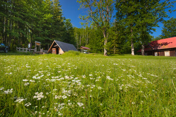 Bacówka pod Reglami w Zakopanem i okolice. Drewniana, góralska chata na szlaku wśród zielonej trawy.  © rogozinski