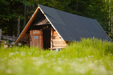 Bacówka pod Reglami w Zakopanem i okolice. Drewniana, góralska chata na szlaku wśród zielonej trawy. 