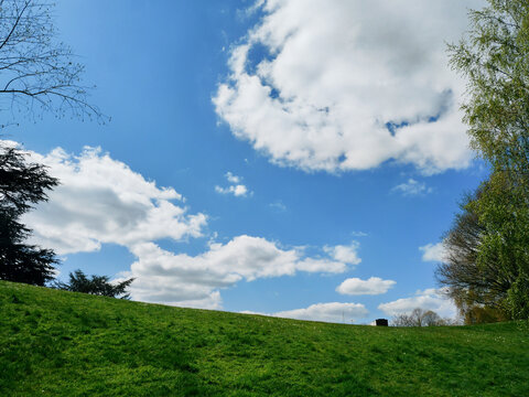 Sunshine on the white clouds in the blue sky with the green meadow in the foreground. There are branches on the sides.