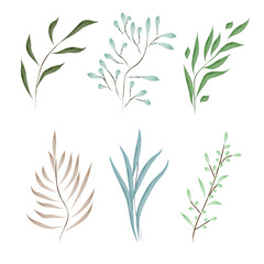 Fototapeta na wymiar Collection of greenery forest herb plant leaves, spring flora leaves in a watercolor style. Vector botanical decorative illustration.