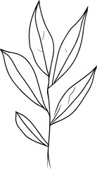 botanical line art. wildflower botanical line art, vintage botanical line drawing, botanical illustration botanical line drawing, simple botanical line drawing, simple botanical flower drawings, 