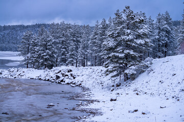 Lake Mary Upper and Lower Lakes, Northern Arizona, America, USA.