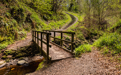 Muff Glen, forest walk, Eglinton, County Londonderry, Northern Ireland