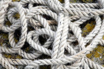 Rope on the shore - Inner Farne Island - Northumberland - England - UK