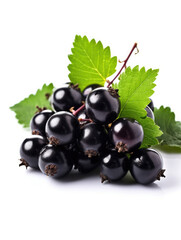 Blackcurrant with green leaf