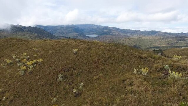 Paramos colombia