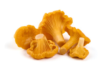 Raw fresh chanterelles mushrooms, isolated on white background. - obrazy, fototapety, plakaty
