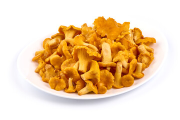 Raw fresh chanterelles mushrooms, isolated on white background.
