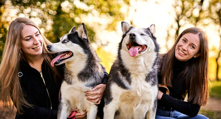 Millennial girls playing with their siberian husky dogs outdoors in the grass - Cheerful young owners and their pets having fun together in the garden - Dog and human frinedship concept © napeter