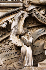 devoci&oacute;n angelina