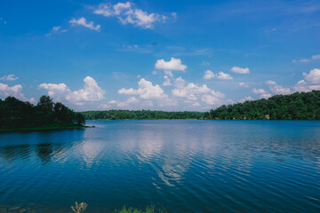 Nature Photography