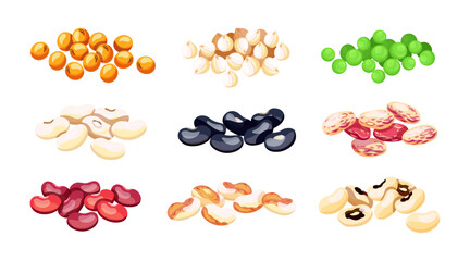 Set of colored beans in cartoon style. Vector illustration of various food beans: lentils, chickpeas, green peas, red and black , black-eyed, pinto beans isolated on white background. - obrazy, fototapety, plakaty