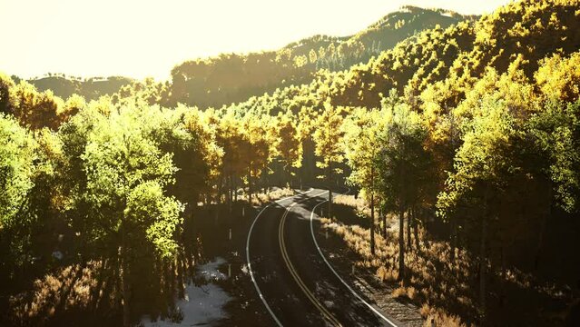 road and yellow mountain forest at sunset