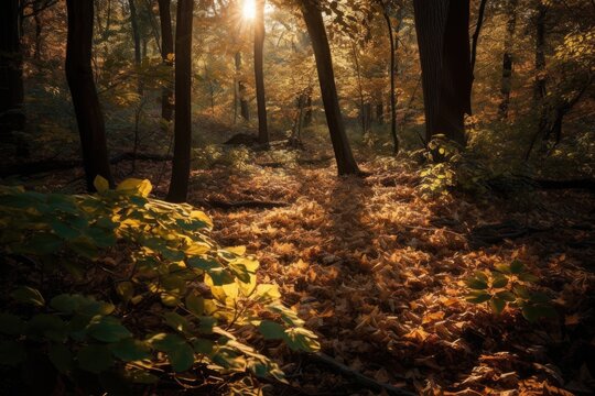 Green forest landscape photo. Generative AI
