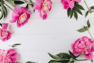 Naklejka na ściany i meble Pink and white peonies on a white wooden background, copy space, flat lay, greeting card.